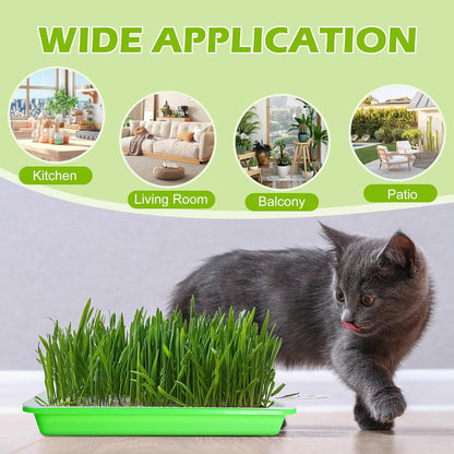 EBaokuup 5 Pcs Seed Sprouter Tray with Drain Holes - BPA Free Seed Germination Propagation Trays