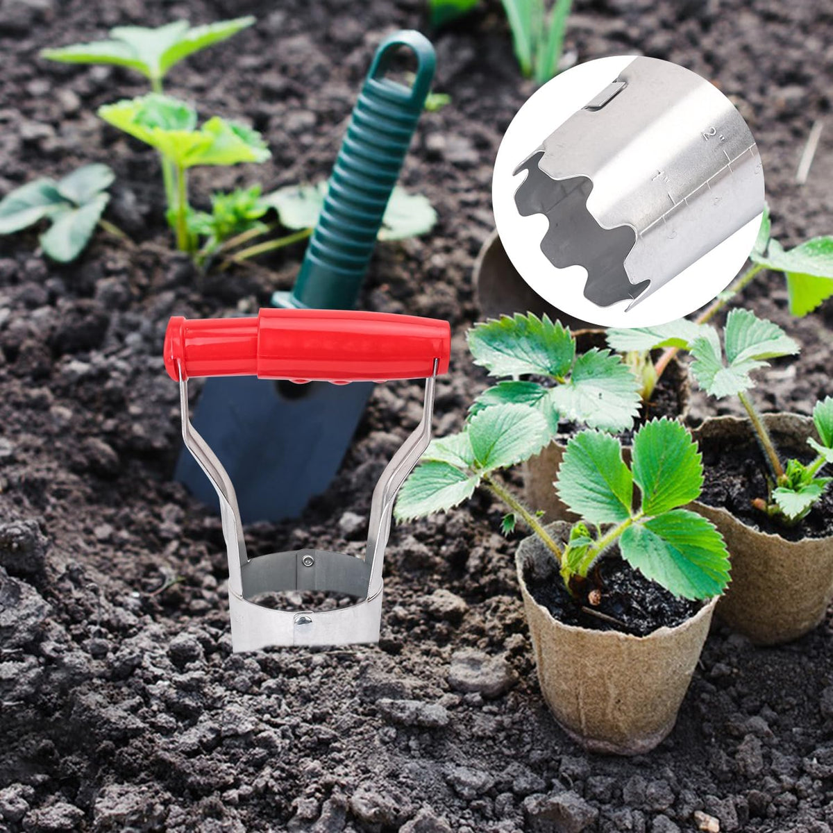 10 Pack Bulb Planter Tool - Bulb Transplanter with Marked Depth, Tulip Bulb Planter Tool