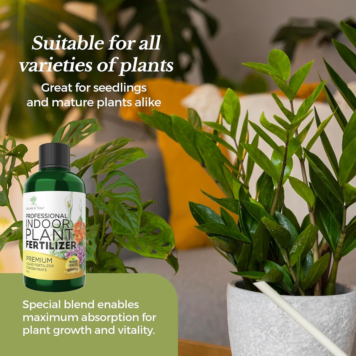 Professional Liquid Indoor Plant Fertilizer | 3-1-2 Concentrate for Plants and Flowers |