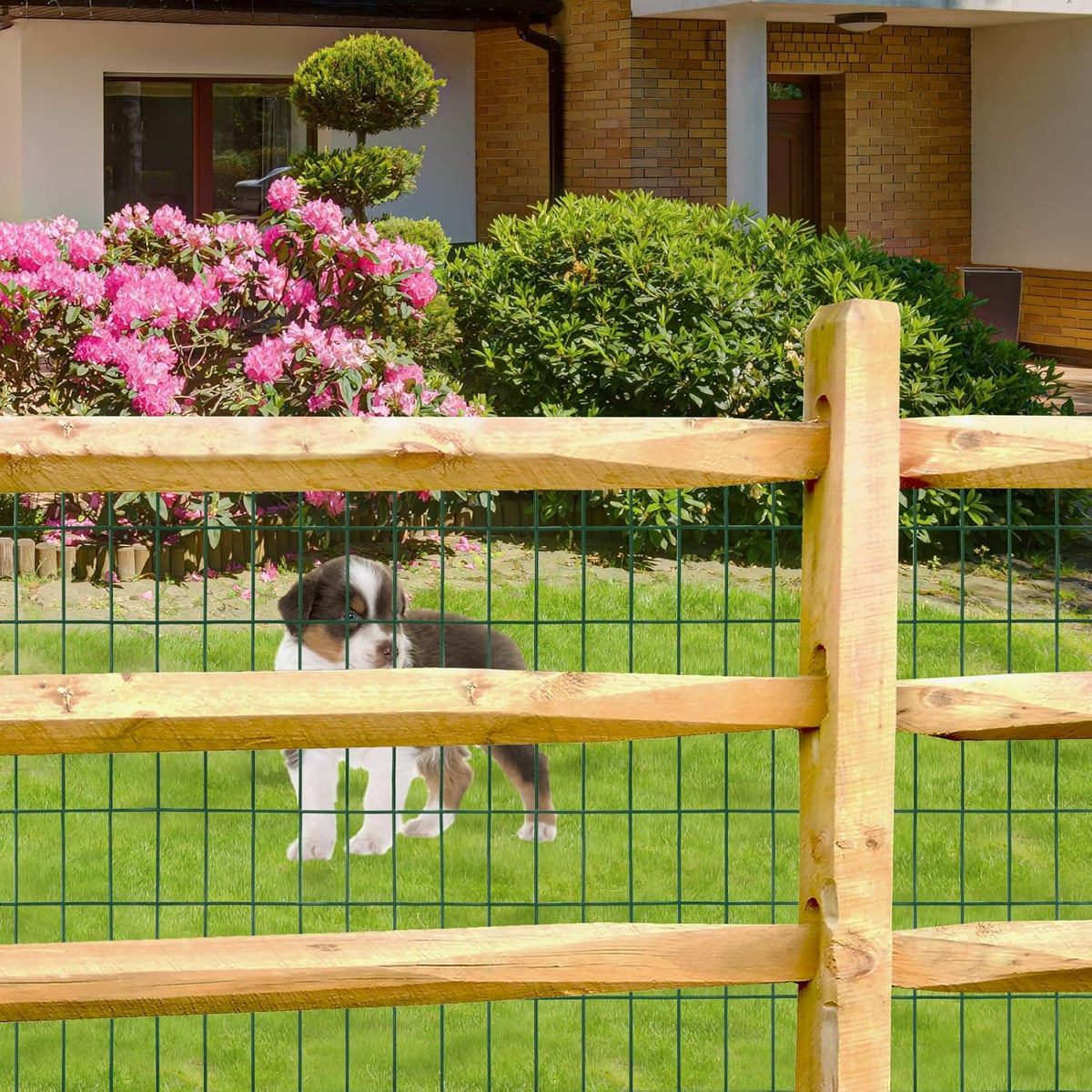 Green PVC Coated Welded Wire Fence 48 Inch x 50 Foot, 2 Inch x 4 Inch 14GA, Garden Border Fencing
