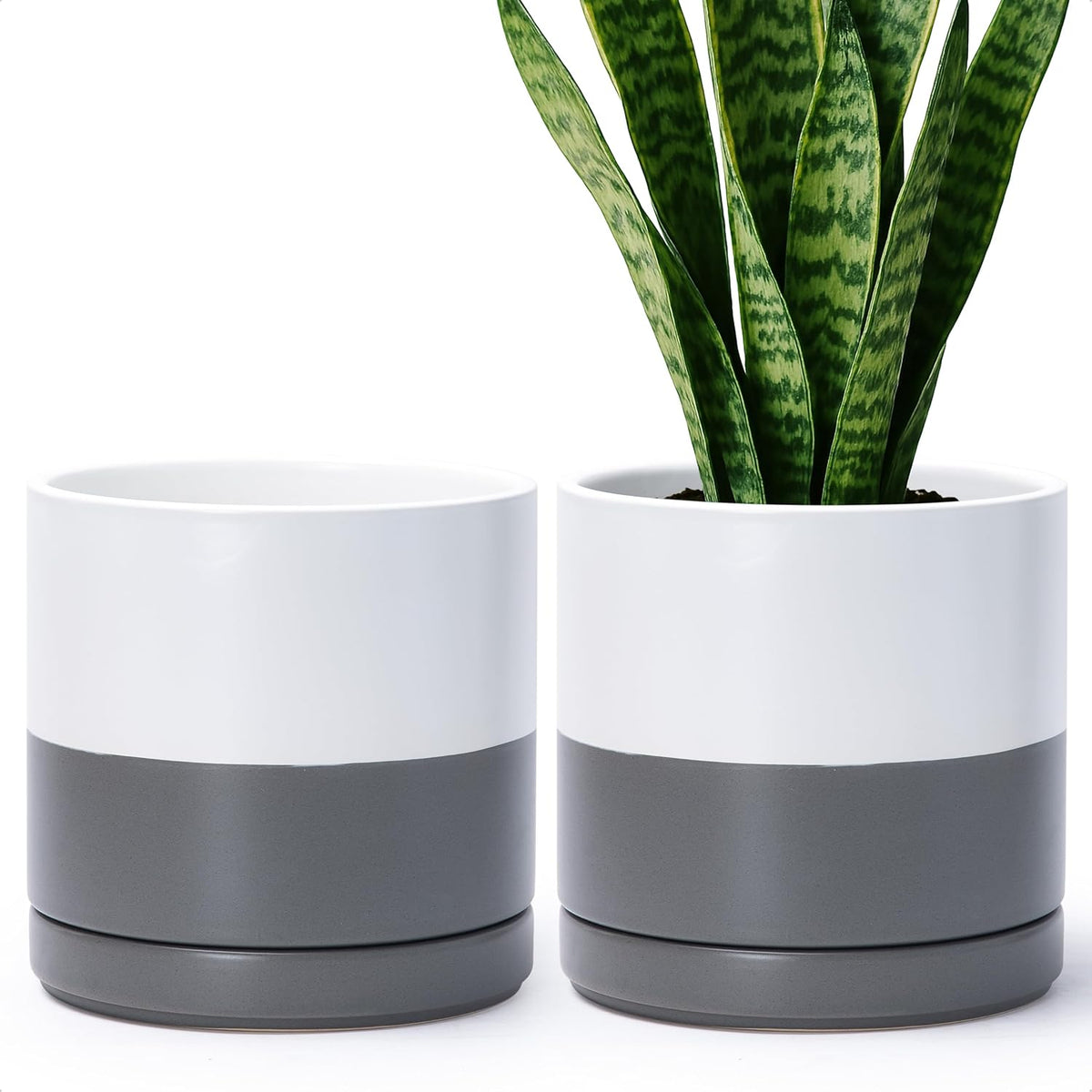 D'vine Dev Set of 2 Plants Pots, 8.2 Inch Ceramic Planter Pot for Plants with Drainage Hole and