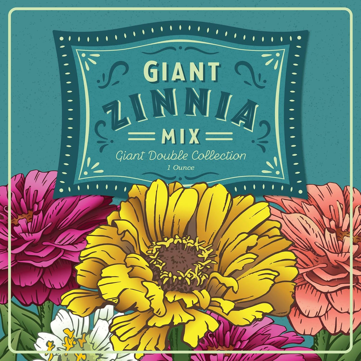 Zinnia Flower ~ 3000 Seeds California Giant Mix & Lilliput Semi-Dwarf Mix – Heirloom, Non-GMO