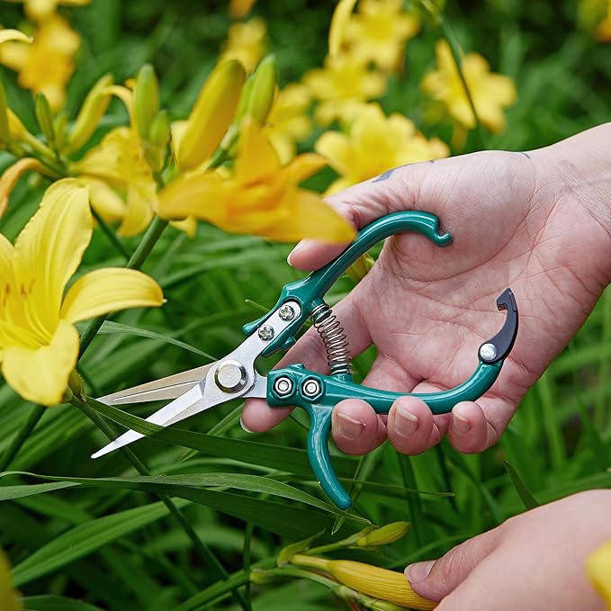 Modern Sprout Pruning Shears - Herb Snipping Scissors- Lightweight Gardening Tools W/Easy Lock