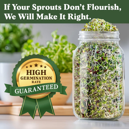 Seedboy Organic Non-GMO Broccoli Seeds for Sprouting - USA Grown Microgreens Sprouting Seeds - 8 oz