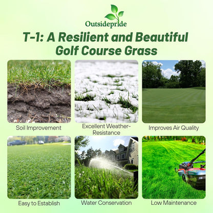 Outsidepride T-1 Creeping Bentgrass Seed - 2 lbs Fine-Bladed, Premium Quality Turf, Grass Seed for
