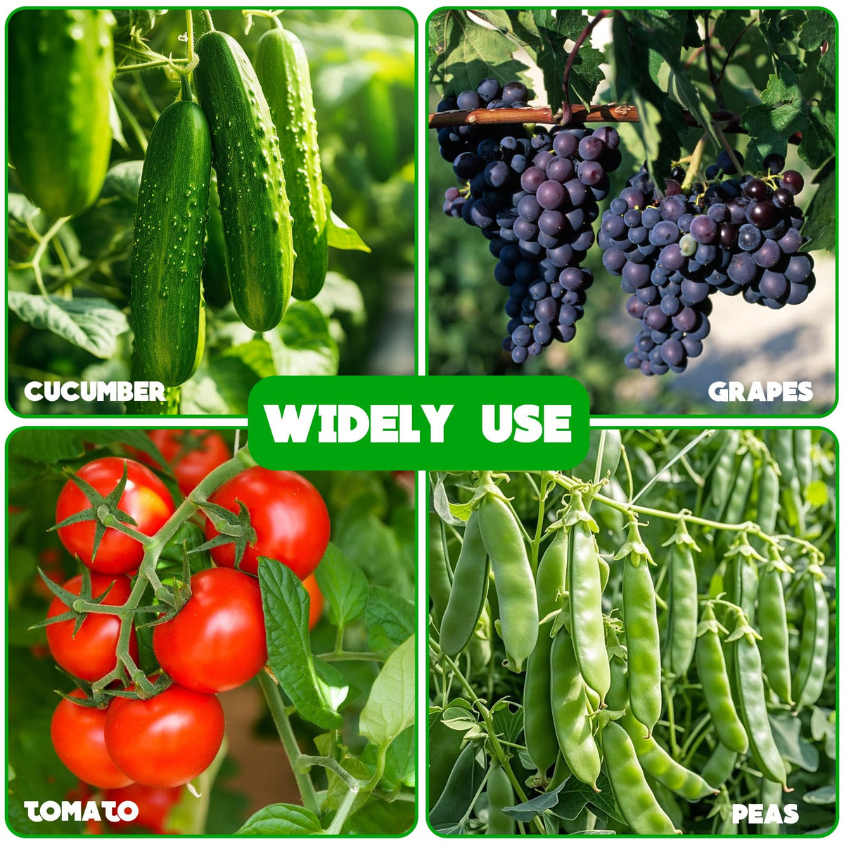 Heavy Duty Cucumber Trellis,2 Pack,No AssemblyGarden Trellis for Climbing Plants Outdoor,Cucumber