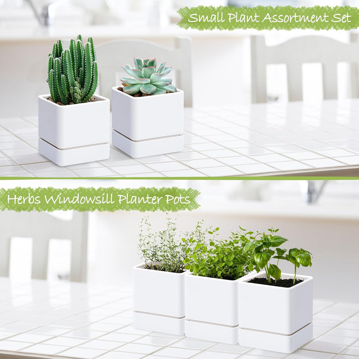 4 Inch Herb Planter Pot, Plastic Planter with Drainage Holes and Saucer, Modern Decorative