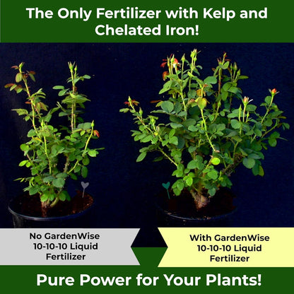 10-10-10 All Purpose Plant Food - Liquid Fertilizer with Seaweed Kelp & Iron - Indoor & Outdoor