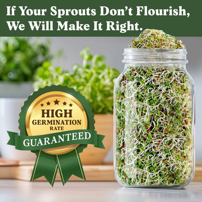 Seedboy Organic Non-GMO Clover Seeds for Sprouting - USA Grown Microgreens Sprouting Seeds - 8 oz
