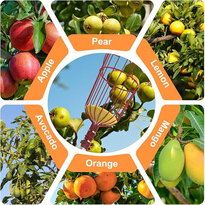 SISIUPASSIE 26FT Reach Fruit Picker, Apple Picker Pole with Basket Telescoping Tool for Apple Lemon