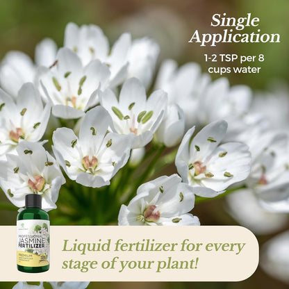 Professional Liquid Jasmine Fertilizer | 3-1-2 Concentrate for Plants and Flowers | Multi-Purpose