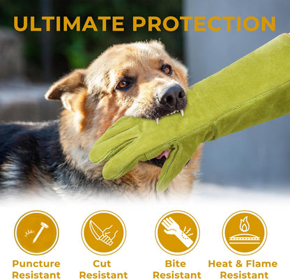 HANDLANDY Animal Handling Gloves, Bite Proof Cat Gloves, Ideal for Rose Pruning, Gardening
