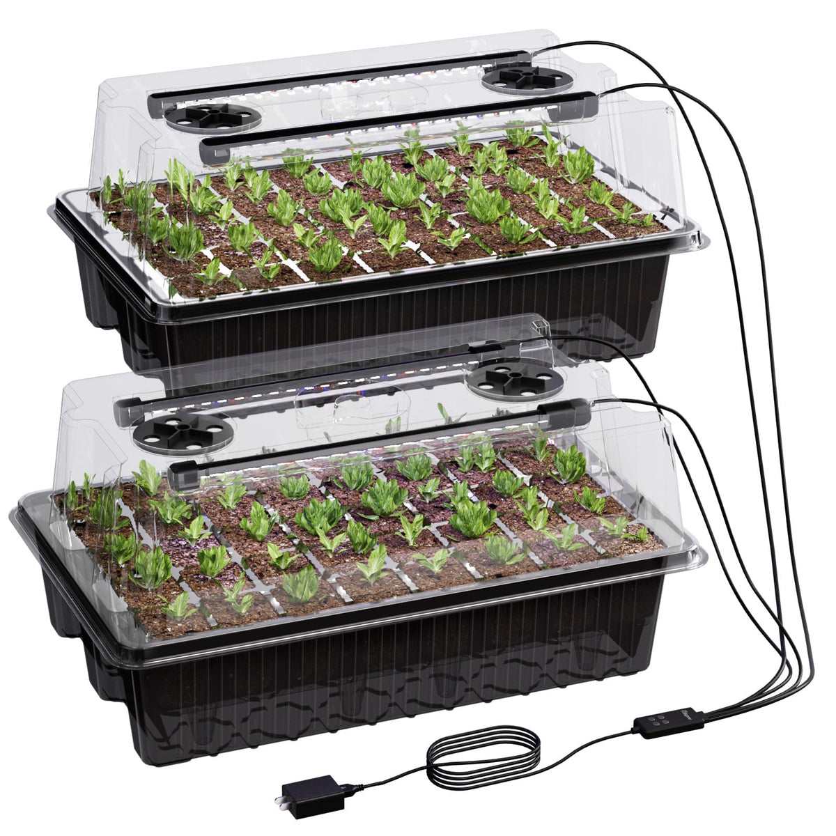 Patigrow 80-Cell Self-Watering Seed Starter Tray with Grow Light, Seed Starter Kit with 4.07”