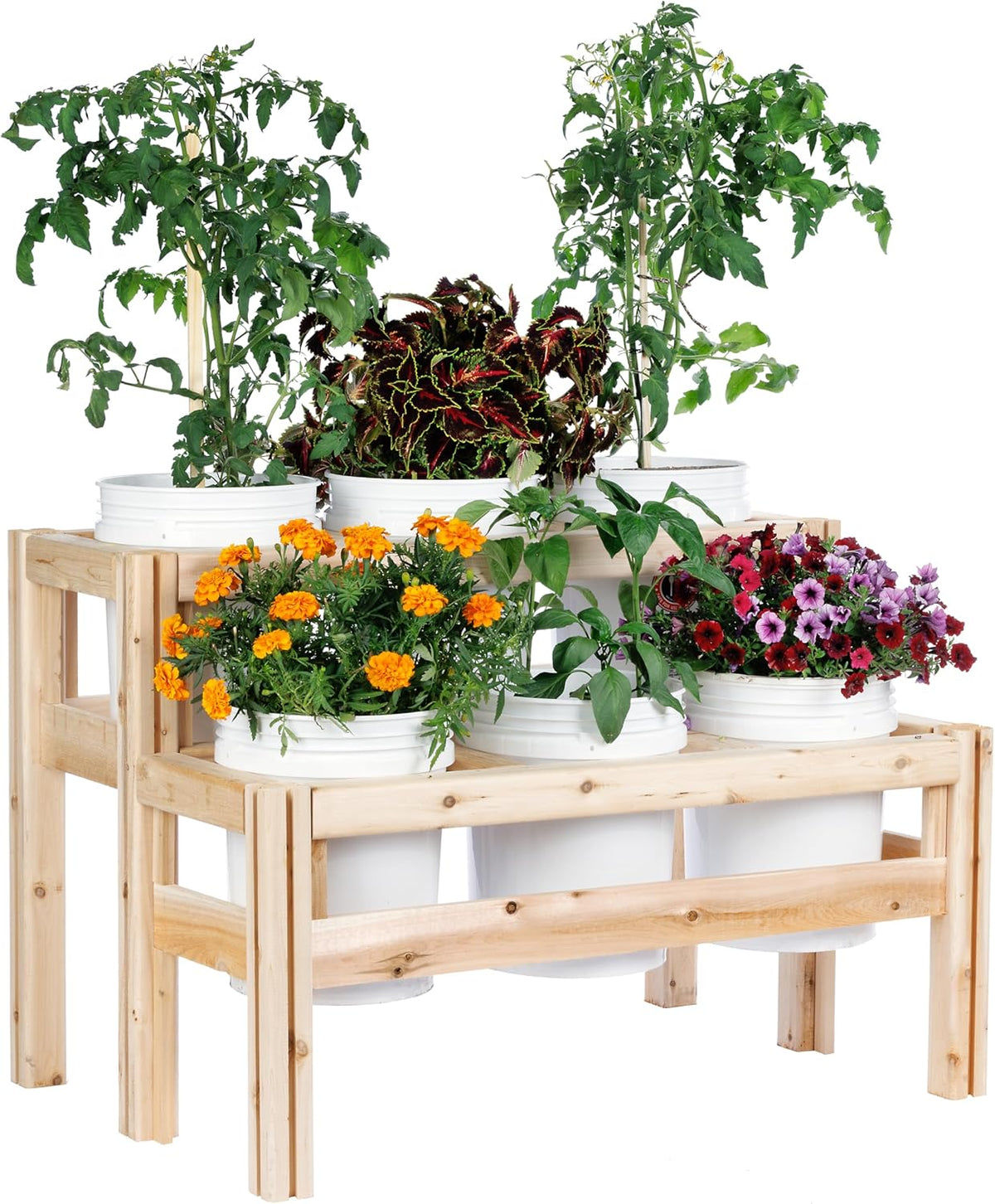 Greenes Fence Two-Tiers Six Bucket Elevated Cedar Wood Garden Frame, 43 in. x 30 in. x 30 in.