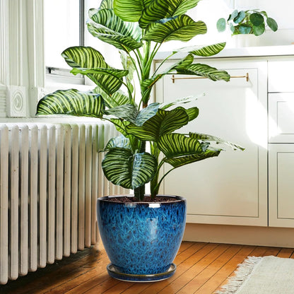 10 Inch Ceramic Planter Pot Round Plant Pot for Indoor Plants Outdoor Large Flower Pot with