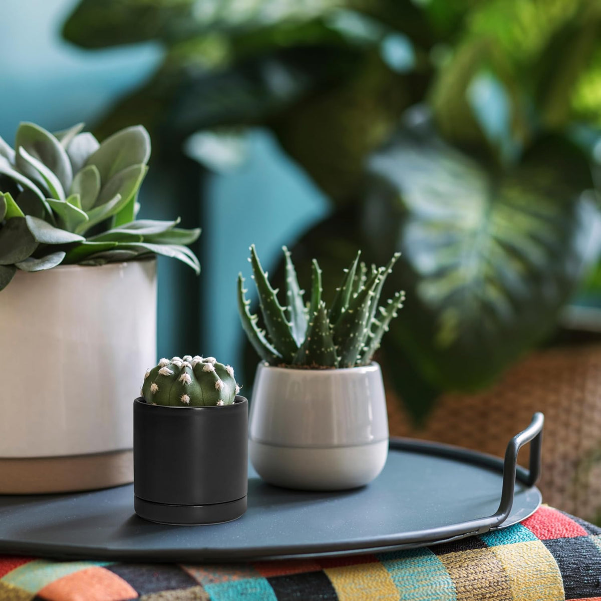 D'vine Dev Set of 2 Plants Pots, 3.5 Inch Ceramic Planter Pot for Plants with Drainage Hole and