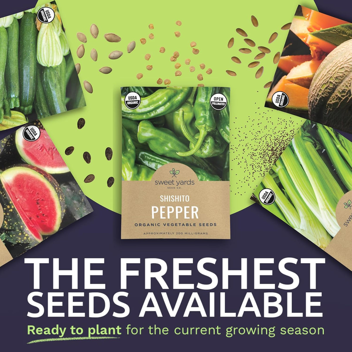 Organic Summer Seeds Variety Pack - 12 Individual Packs - 2025 Season - Basil, Tomatoes, Cucumber