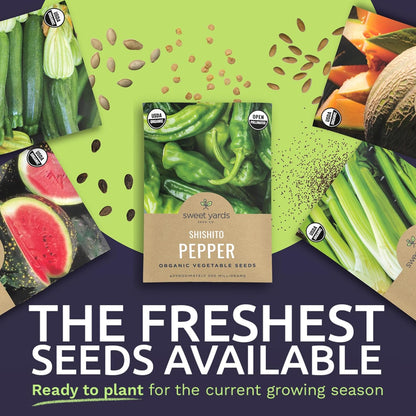 Organic Summer Seeds Variety Pack - 12 Individual Packs - 2025 Season - Basil, Tomatoes, Cucumber