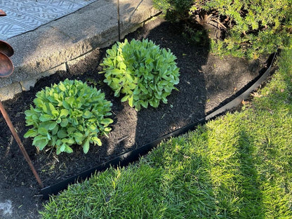 8-Pack Steel Landscape Edging 40 * 6 Inch Metal Edging for Landscaping Border Tall Garden Edging