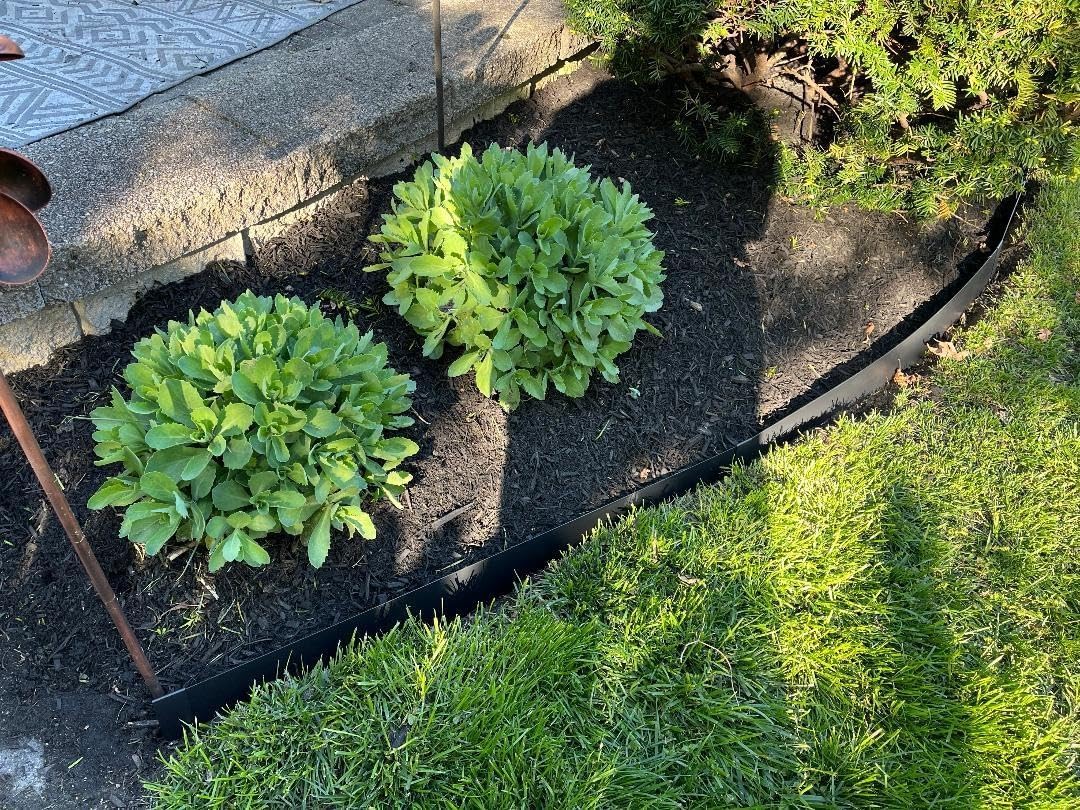 8 Pcs - 48'' L x 6'' H Steel Landscape Edging Edging for Landscaping Garden Edging Metal Landscape