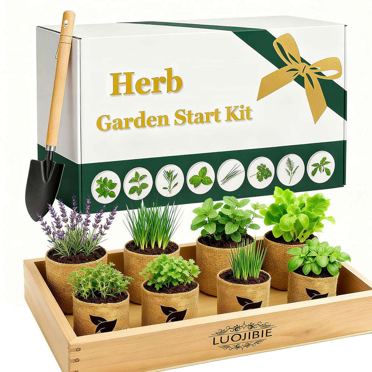 Indoor Herb Garden Start Kit - Unique Gifts for Women, Mothers Day Gifts, Easy House Plant