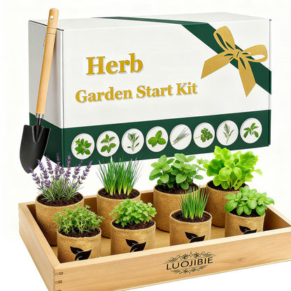 Indoor Herb Garden Start Kit - Unique Gifts for Women, Mothers Day Gifts, Easy House Plant