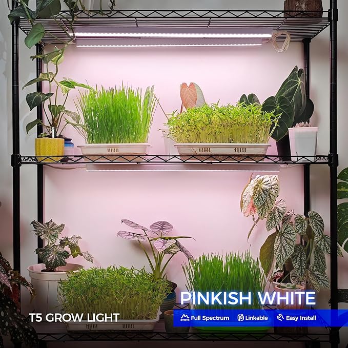 Barrina T5 Grow Lights for Indoor Plants, Full Spectrum LED Grow Light, 2FT 80W (8 x 10W), Plant