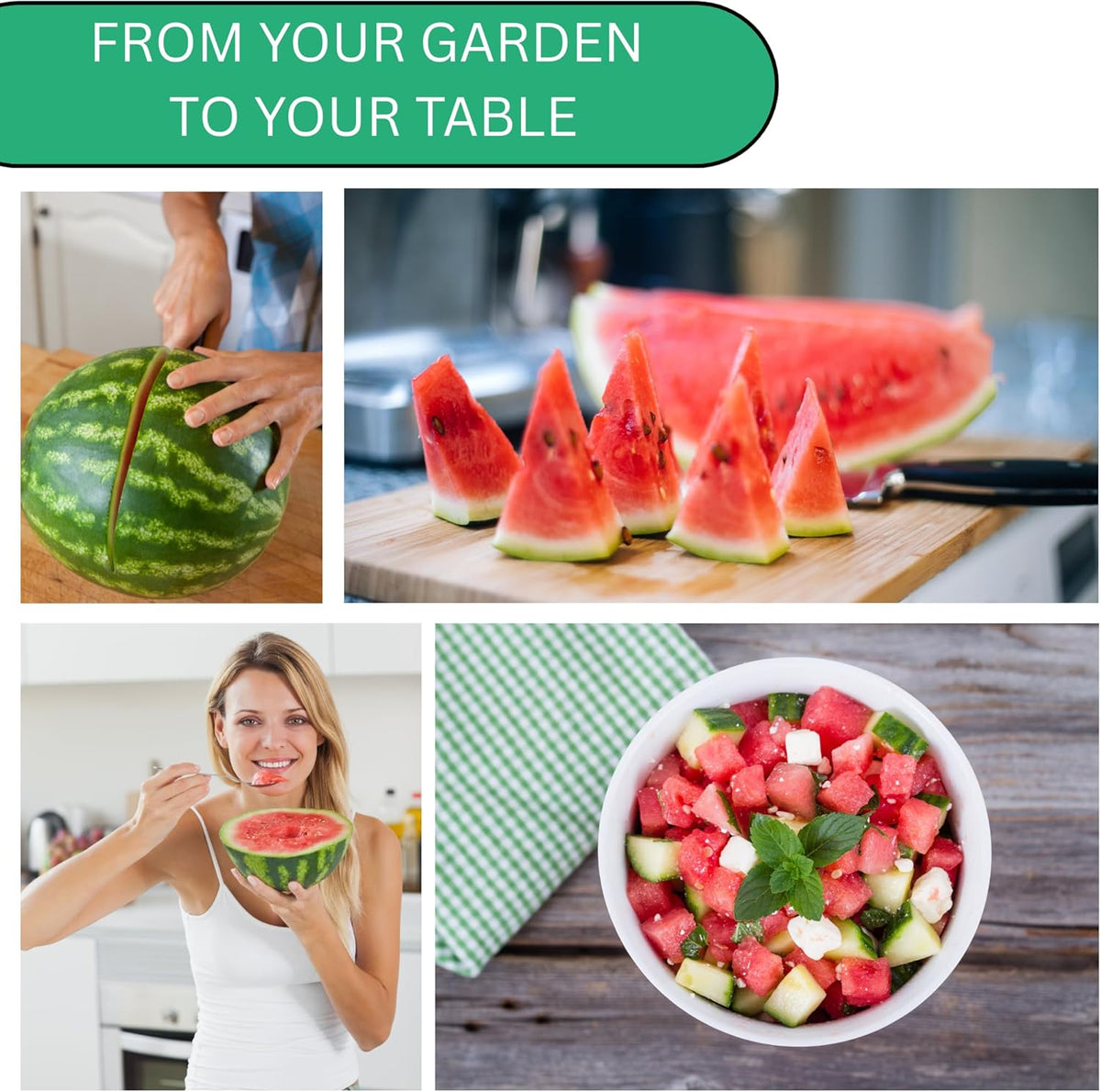 Woods Creek Seeds: Crimson Sweet Watermelon Seeds for Planting - Over 45 Heirloom Watermelon Seed