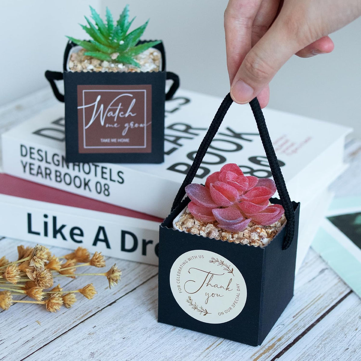 Temlum 2.5 Inch Succulent Wrap Bags (Fits 2.5″ Pots) with Thank You & Watch Me Grow Stickers, Small