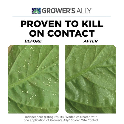 Grower's Ally Spider Mite Control Concentrate 1 qt | Natural Spider Mite & Insect Killer with