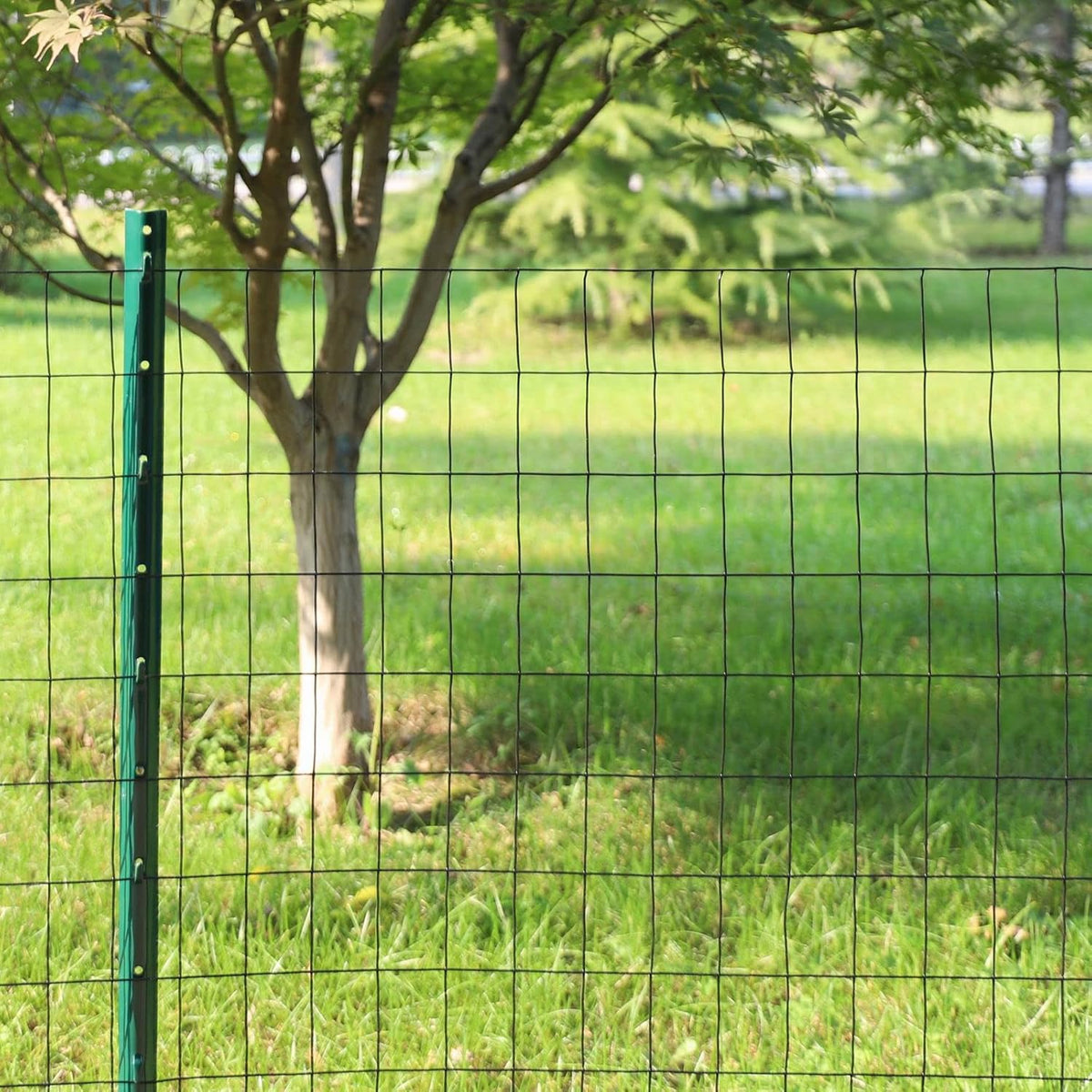Black PVC Coated Welded Wire Fence 24 Inch x 50 Foot, 2 Inch x 3 Inch 16GA, Garden Border Fencing