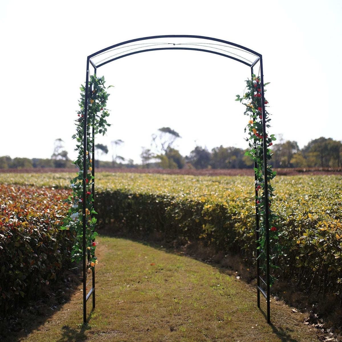 Steel Garden Arch, 7'6" High x 4'7" Wide, Garden Arbor for Various Climbing Plant, Outdoor Garden