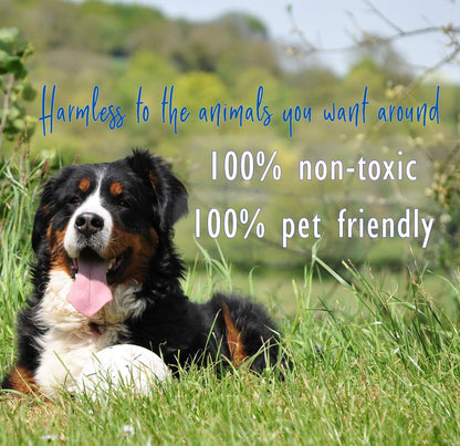 PredatorPee 100% Wolf Urine - Territorial Marking Scent - Creates Illusion That Wolf is Nearby