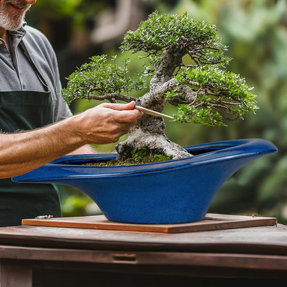 Bonsai Tree Pot 18 Inch - Ceramic Succulent Pots Large Bonsai Planter for Indoor Outdoor Plants