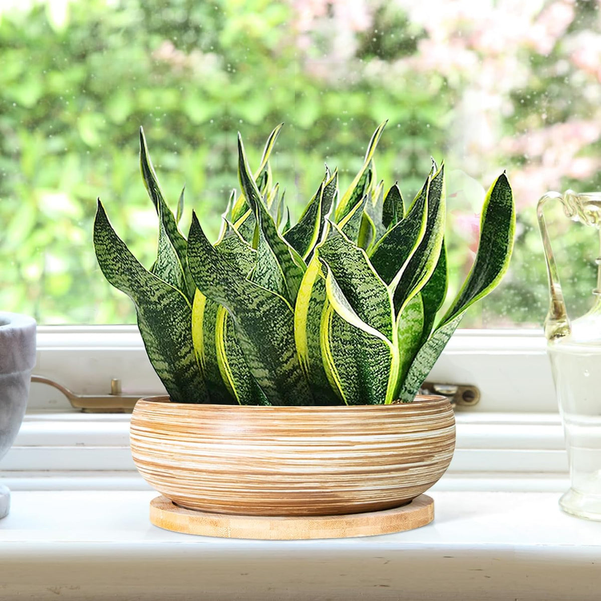 ARTKETTY Succulent Pots - 7.5 Inch Large Plant Pot with Bamboo Tray, Shallow Bonsai Pots with