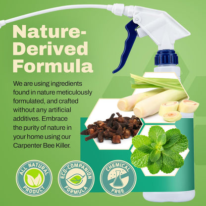 All-Natural Foaming Bee Spray Killer Outdoor - Carpenter Insect Bee Spray Killer - Reliable Defense