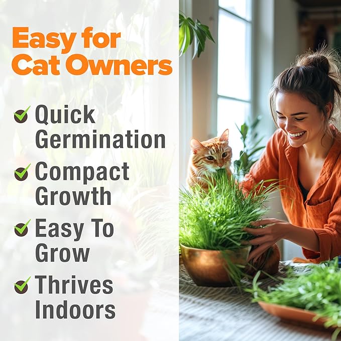 HOME GROWN 𝗨𝗦𝗔 𝗣𝗥𝗘𝗠𝗜𝗨𝗠 1 Pound Cat Grass Seeds for Cat & Kittens Oat & Barley Mix 100%