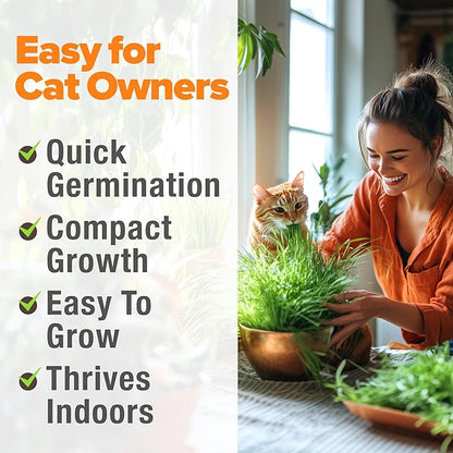 HOME GROWN 𝗨𝗦𝗔 𝗣𝗥𝗘𝗠𝗜𝗨𝗠 1 Pound Cat Grass Seeds for Cat & Kittens Oat & Barley Mix 100%