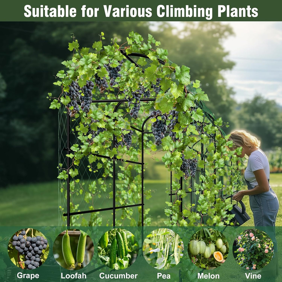 unho Black Iron Garden Arch Trellis for Climbing Plants, 41*64*63inch, Rustic Archway Arbor Tunnel