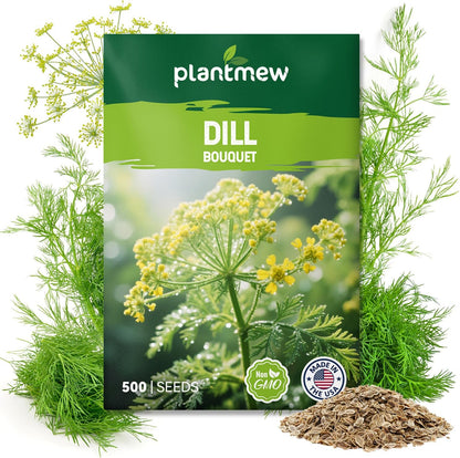Bouquet Dill Seeds for Planting - 500+ Heirloom, Non-GMO Seeds - Herb Seeds Packet for Plating Home