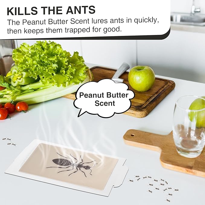 Qualirey Ant Traps Indoor, Upgraded Peanut Butter Scented, Larger 10pcs Ant Spider Cockroach