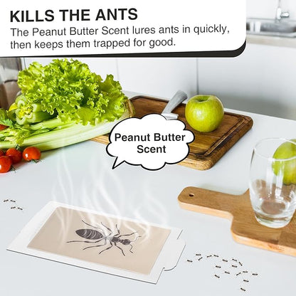 Qualirey Ant Traps Indoor, Upgraded Peanut Butter Scented, Larger 10pcs Ant Spider Cockroach