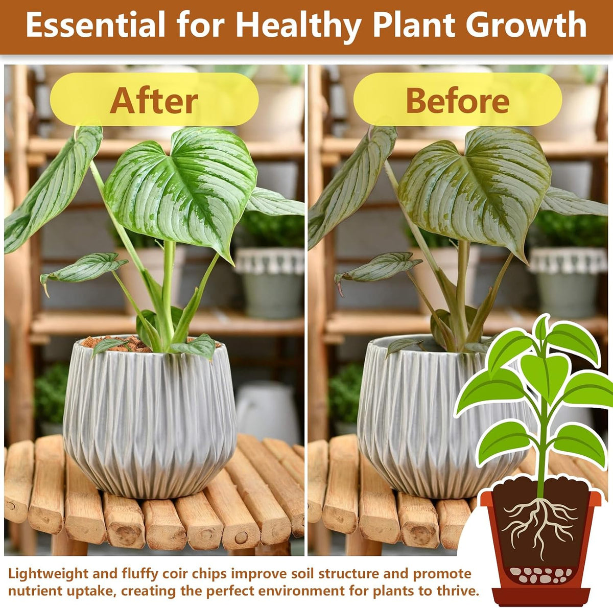 Legigo 10 Pack Coco Husk Chips- 11 LB 100% Organic Coconut Coir Chips Brick Potting Soil Mix with
