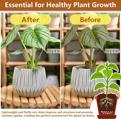 Legigo 10 Pack Coco Husk Chips- 11 LB 100% Organic Coconut Coir Chips Brick Potting Soil Mix with