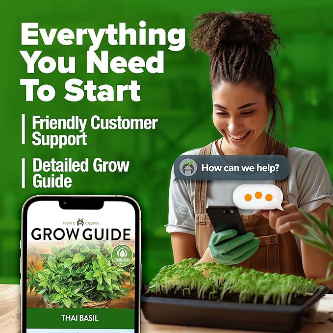 HOME GROWN Thai Basil Seeds Pack - 438 High Germination 𝗡𝗢𝗡-𝗚𝗠𝗢 𝗨𝗦𝗔 Heirloom Herb Seeds