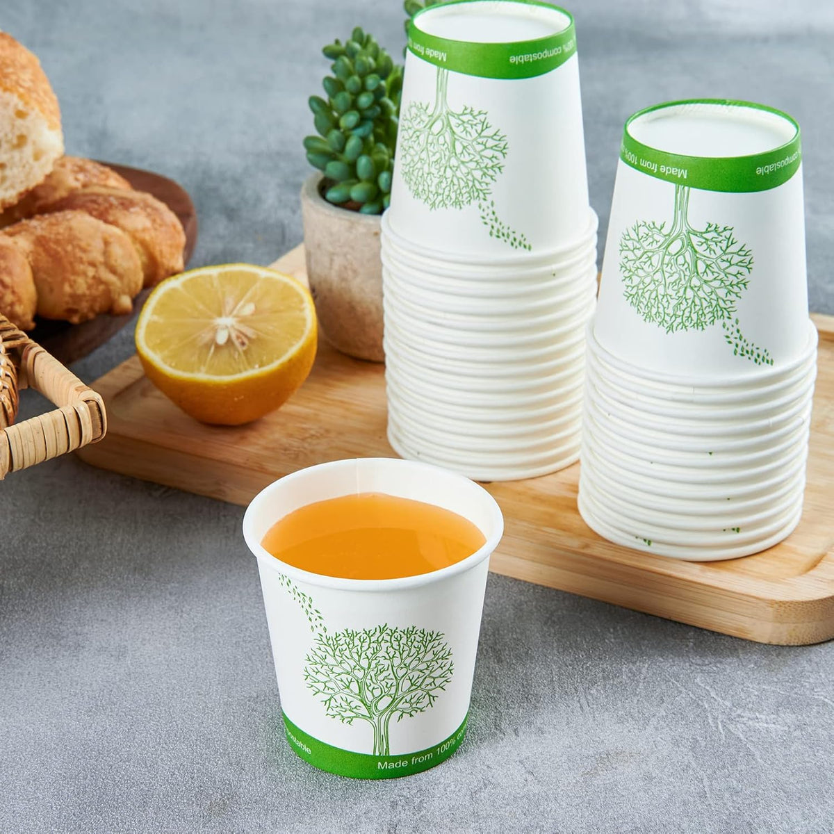 ECOLipak 500 Count Compostable Paper Cups, 4 oz Paper Espresso Coffee Cups with PLA Lined