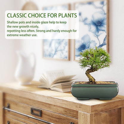Ceramic Bonsai Pots with Drainage Hole Set of 2, Green Glazed Bonsai Planters for Indoor/Outdoor