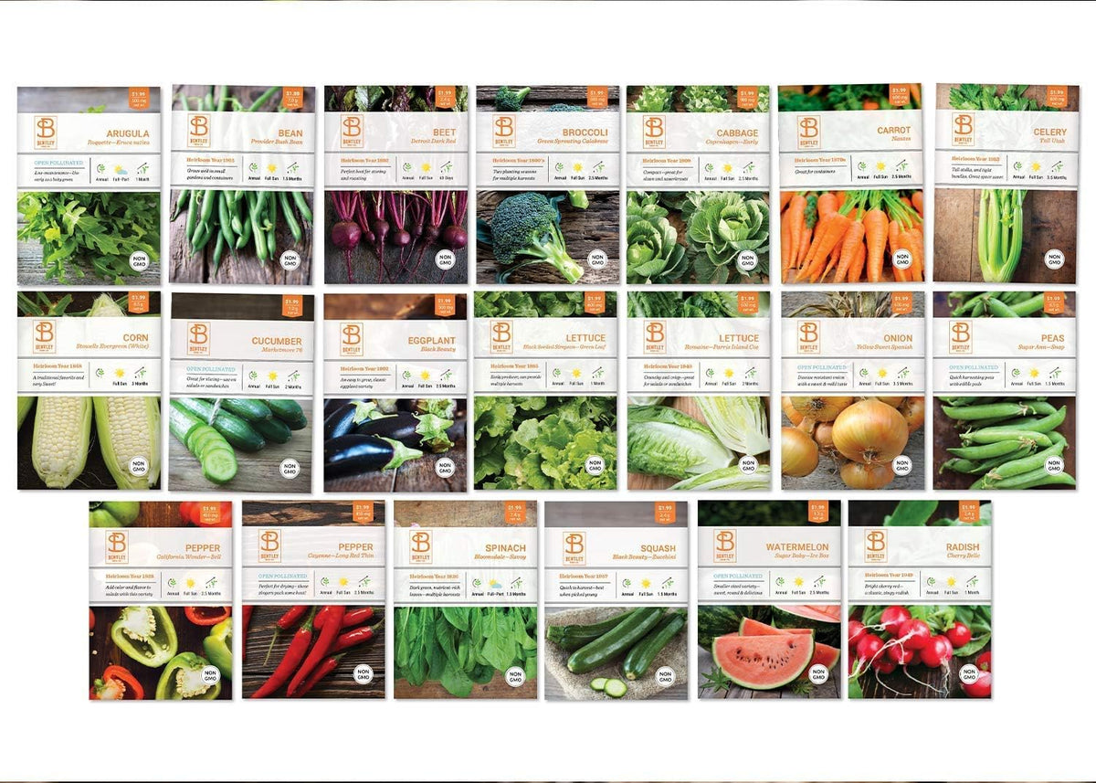 Bentley 20 Pack Garden Seeds for Planting - Non GMO Vegetable Variety Pack for Indoor and Outdoor