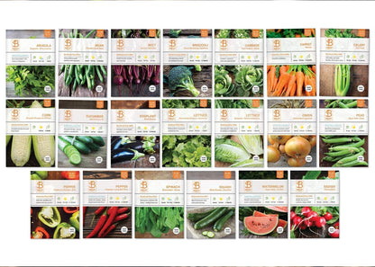 Bentley 20 Pack Garden Seeds for Planting - Non GMO Vegetable Variety Pack for Indoor and Outdoor