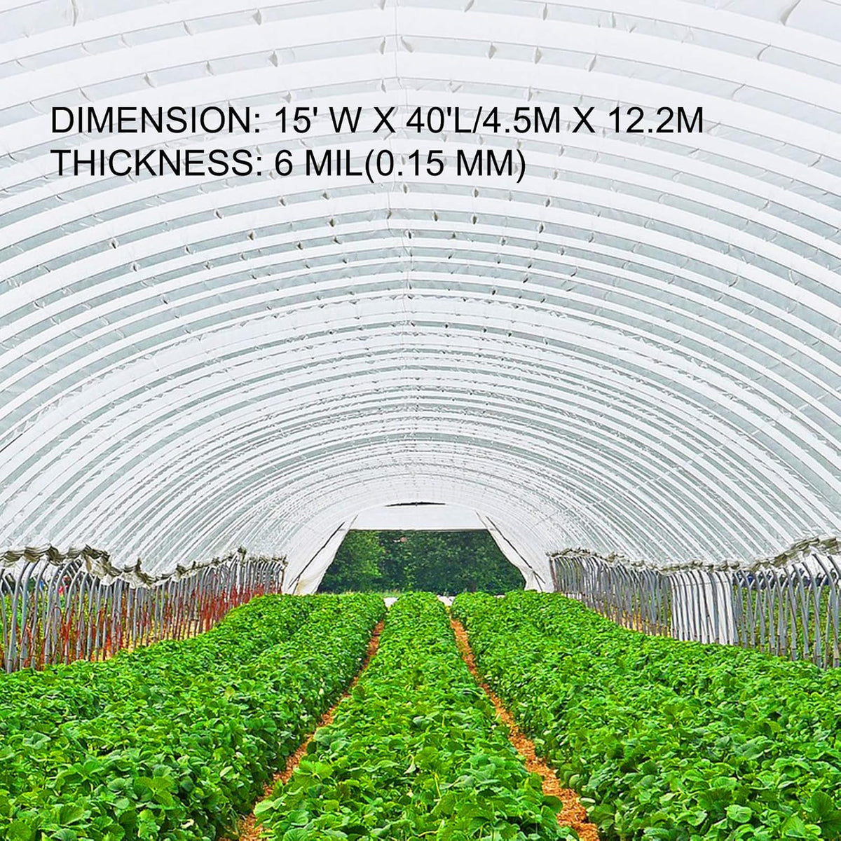 VEVOR Greenhouse Plastic Sheeting 15 x 40 ft, 6 Mil Thickness UV Resistant Clear Polyethylene Film